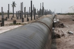 Объемы зависших в России дивидендов индийских нефтяников оценили