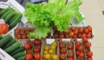 В Калужской области усиливают контроль за качеством и безопасностью продукции в бюджетных учреждениях