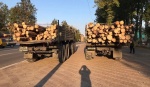 Партию круглого леса отправили из Спас-Деменского района в зону СВО
