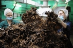 Крупнейший поставщик табачной продукции в России получил предупреждение от ФАС