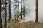 В ЛНР локализовали крупный пожар на площади более 2 тысяч гектаров