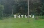 Благодаря нацпроекту в Жиздринском доме соцобслуживания проходят художественные занятия