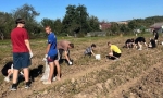 Студенты Перемышльского техникума оказали помощь матери участника СВО