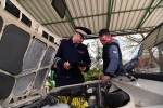 В Госдуме отреагировали на идею вернуть обязательный техосмотр