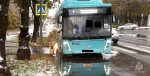 Автобус сбил пешехода в Обнинске