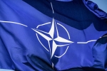 В НАТО заявили о неизменности позиции крупных стран по членству Украины