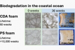 Новый разлагаемый в морской воде пластик успешно испытан