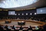 Названа выступающая против приглашения Украины в НАТО страна