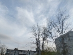Погода в Калуге остаётся солнечной