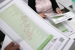 В Грузии возбудили уголовное дело из-за возможного вброса бюллетеней