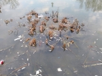 Вода в Дырочной стала сине-черной после очередного сброса