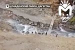 В Дагестане жители 17 сел собрали деньги и построили дорогу к заброшенному источнику