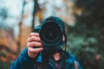 Молодой тигр стал моделью для одного из известнейших фотографов из России