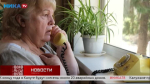 Как вычислить телефонного афериста. Специальный репортаж Ники ТВ