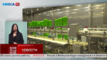 Калужская птицефабрика наращивает объёмы производства