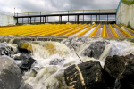На Украине официально подтвердили повреждение дамбы Кураховского водохранилища