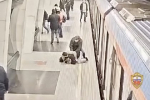 В московском метро задержали пьяного размахивающего ножом мужчину