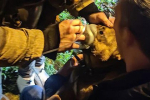 Сотрудники МЧС спасли из пожара собаку и дали ей подышать из маски