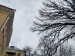 В Калугу вернулся дождь со снегом