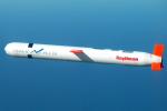 Украина захотела попросить у Байдена разрешение на использование ракет Tomahawk