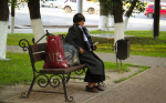 Рекламных скамей в Калуге не будет