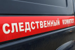 Плохо следившая за малышами на прогулке в российском детсаду воспитатель получила срок