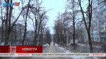 Когда и как Калугу будут озеленять, рассказал эксперт