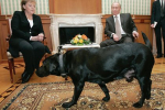          2007 