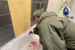 Подозреваемый в двойной расправе россиянин попытался забрать отрубленную голову сиделки