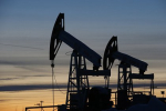 В России объяснили решение ОПЕК+ отложить увеличение добычи нефти