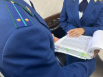 Прокуратура займётся случаем удара током собаки и её хозяйки в Калуге