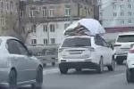 Россияне прокатили «морского монстра» на крыше авто и попали на видео