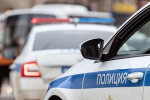 Россиянка с питбулем напала на женщину с ребенком в лифте