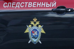 СК возбудил уголовные дела после нападений на девушку и подростка в Ростове