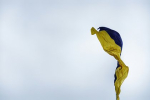На Украине призвали расследовать поставки бракованных мин ВСУ