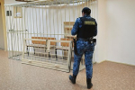 Виновная в массовом отравлении в российском детском саду избежала наказания