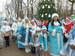 В калужском парке прошел парад Снегурочек