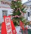 В Калужской области не могут выбрать лучшую елку