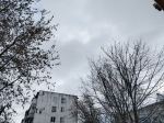 В Калуге сохраняется плюсовая температура