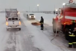 Морж прилег отдохнуть посреди российской трассы и попал на видео