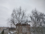 Пасмурная погода в Калуге сохраняется