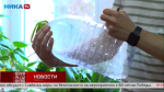 День снегиря в Калуге отметили добрыми делами для пернатых
