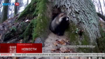 Животные «Калужских засек» не легли в спячку из-за аномального тепла