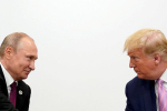 «Настолько выгодно для Киева, насколько возможно». Кандидат на пост главы Пентагона раскрыл позицию Трампа по Украине