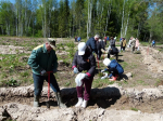 За шесть лет в Калужской области восстановлено 20 тысяч гектаров леса