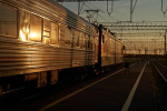 Собака спасла проехавшую сотни километров в вагоне с углем кошку