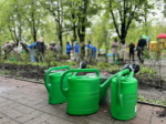 Главным садовником Калуги станет женщина