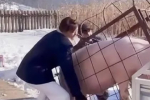Стюардесса уволилась с работы, стала свиноводом и заработала миллионы долларов