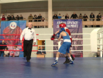 Чемпионат и первенство по боксу проходят в калужском \