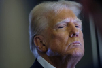 На Западе предрекли гнев Европы из-за действий Трампа по Украине